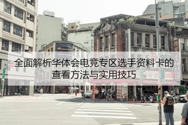 全面解析华体会电竞专区选手资料卡的查看方法与实用技巧
