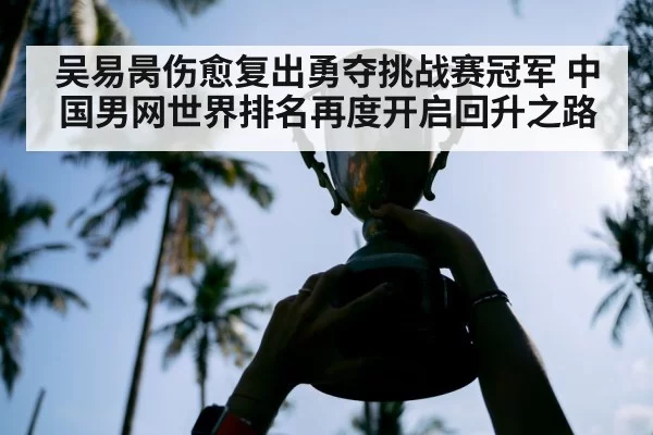 吴易昺伤愈复出勇夺挑战赛冠军 中国男网世界排名再度开启回升之路